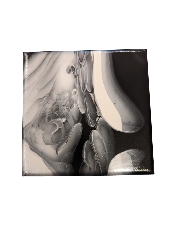 Square black, white and silver fluid painting with soft translucent folds and reflective shapes.