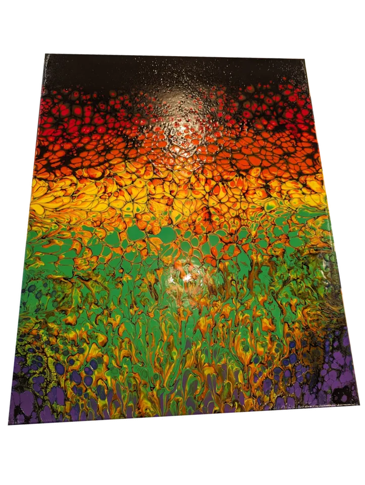 Rectangular rainbow swipe painting with fine black cells over red, orange, yellow, green and violet.